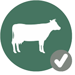 A to Z Dairy Products A to Z Dairy Products