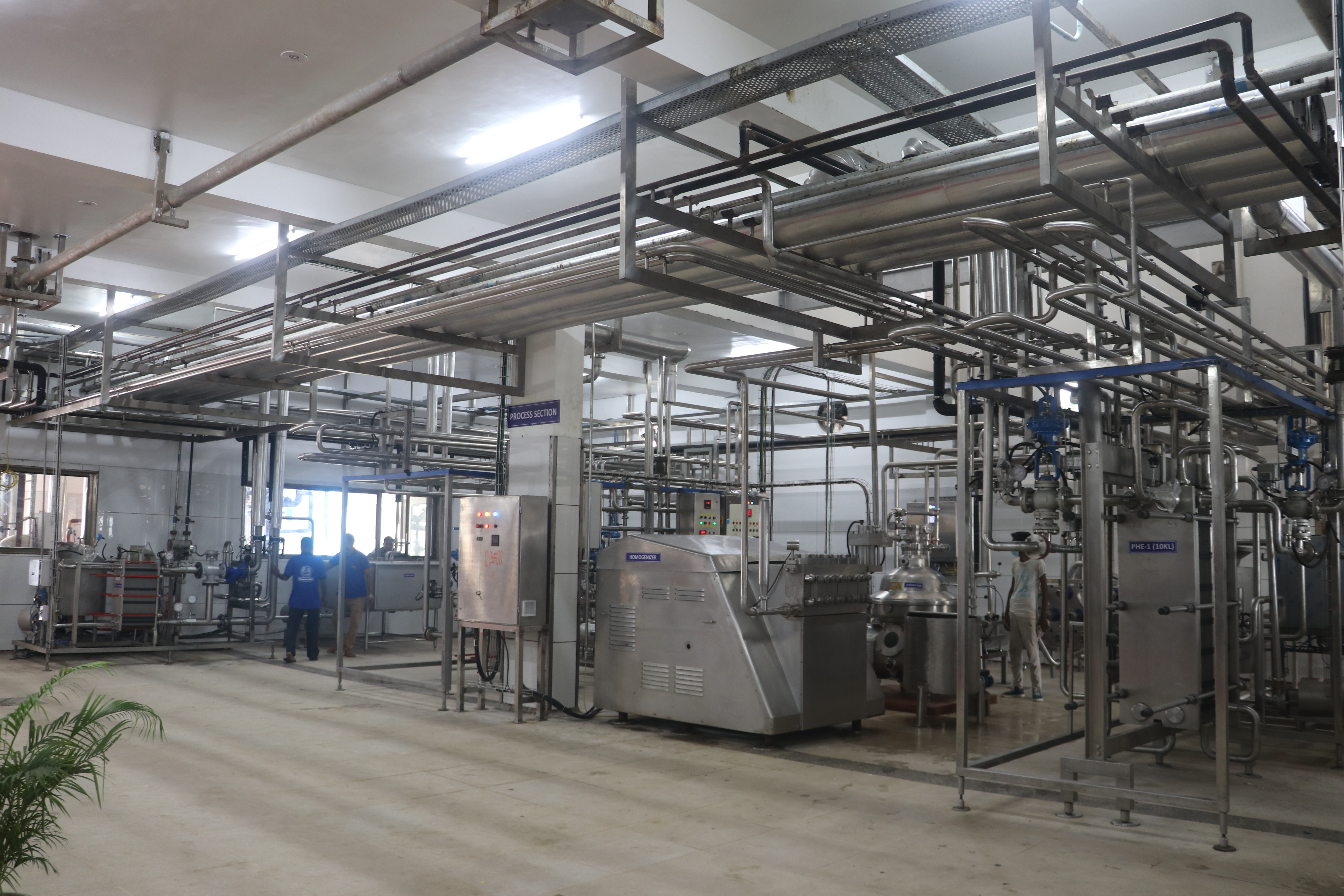 Milk Processing
